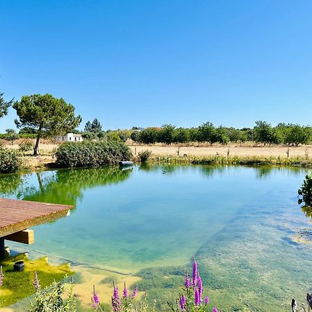 Glamping On Organic Yoga Farm With Natural Swimming Pool Near Beach Монкарапашу Экстерьер фото