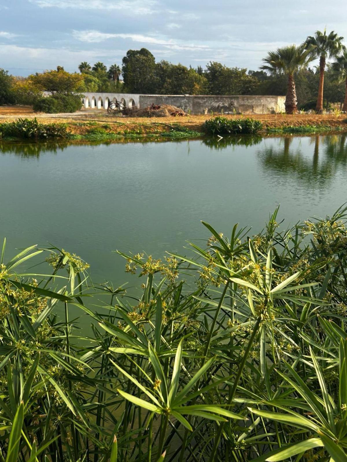 Glamping On Organic Yoga Farm With Natural Swimming Pool Near Beach Монкарапашу Экстерьер фото
