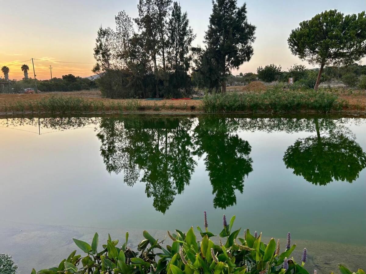 Glamping On Organic Yoga Farm With Natural Swimming Pool Near Beach Монкарапашу Экстерьер фото