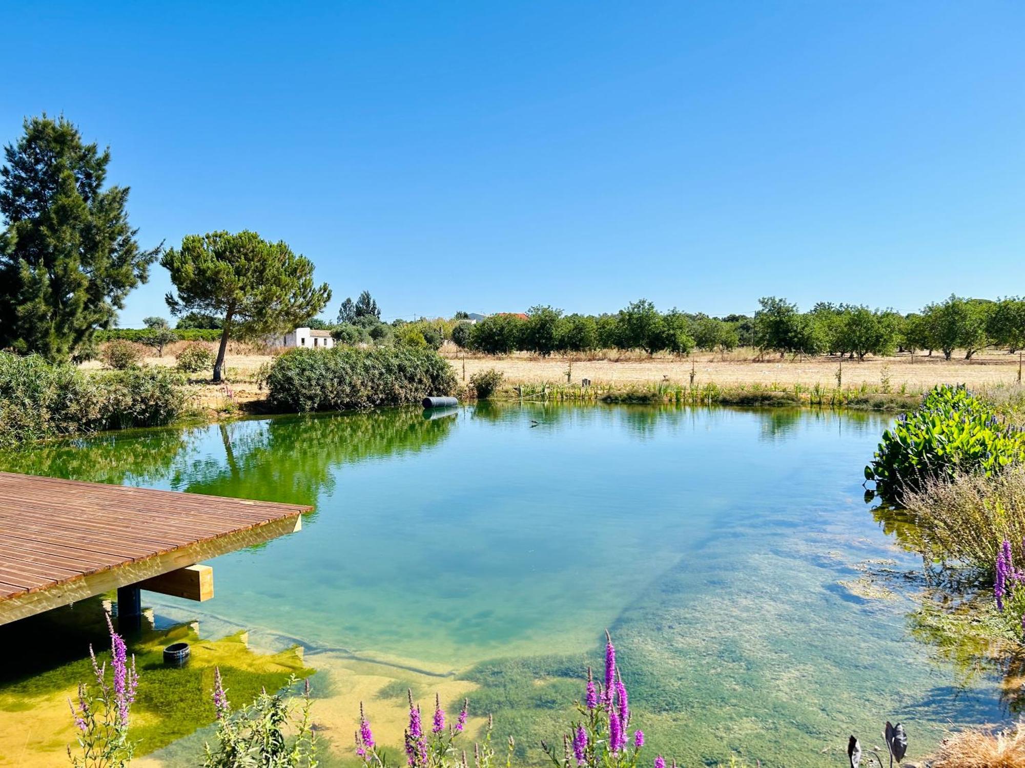 Glamping On Organic Yoga Farm With Natural Swimming Pool Near Beach Монкарапашу Экстерьер фото